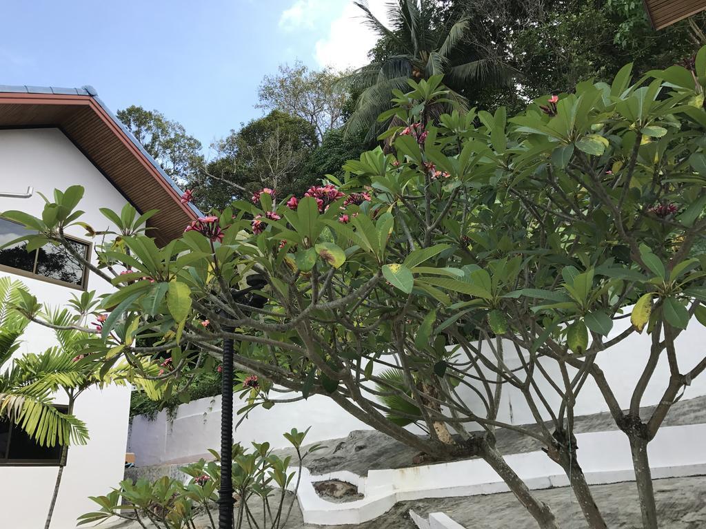 Apartamento Rabbit Mansion2 Patong Exterior foto